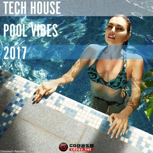 VA-Tech House Pool Vibes 2017.jpg