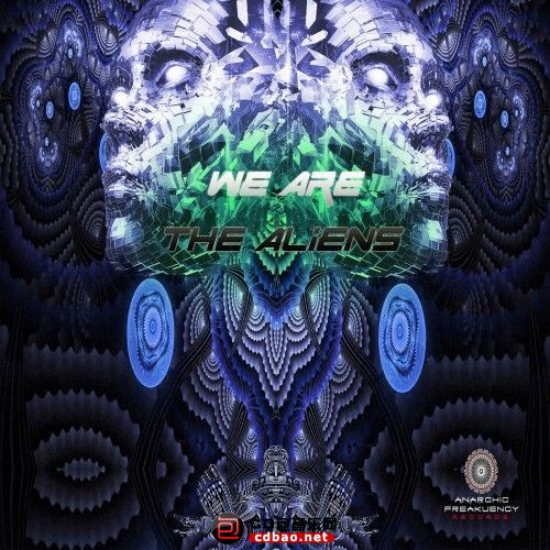 VA - We Are The Aliens (2017) MP3.jpg