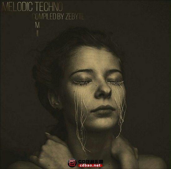 VA - Melodic Techno Tom II (2017) MP3.jpg