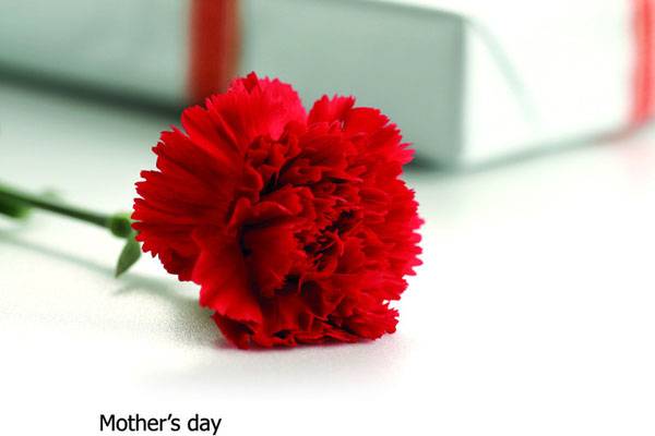 留下你对母亲最真挚的祝福吧。。。