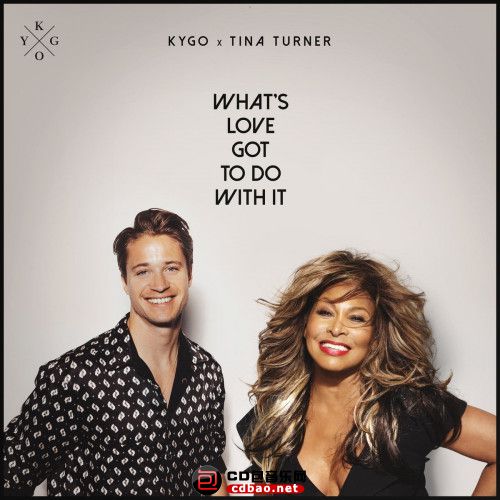 Kygo x Tina Turner.jpg