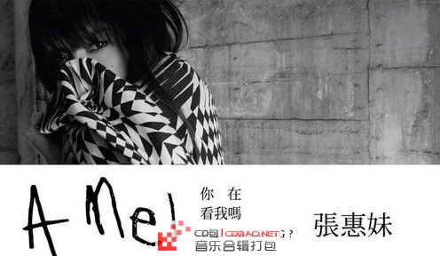 张惠妹-你在看我吗-ape分轨-2011年最新专辑无损高音质下载