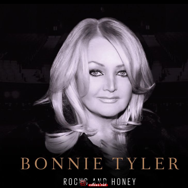 Bonnie Tyler《Rocks and Honey》2013 FLAC整轨 115礼包