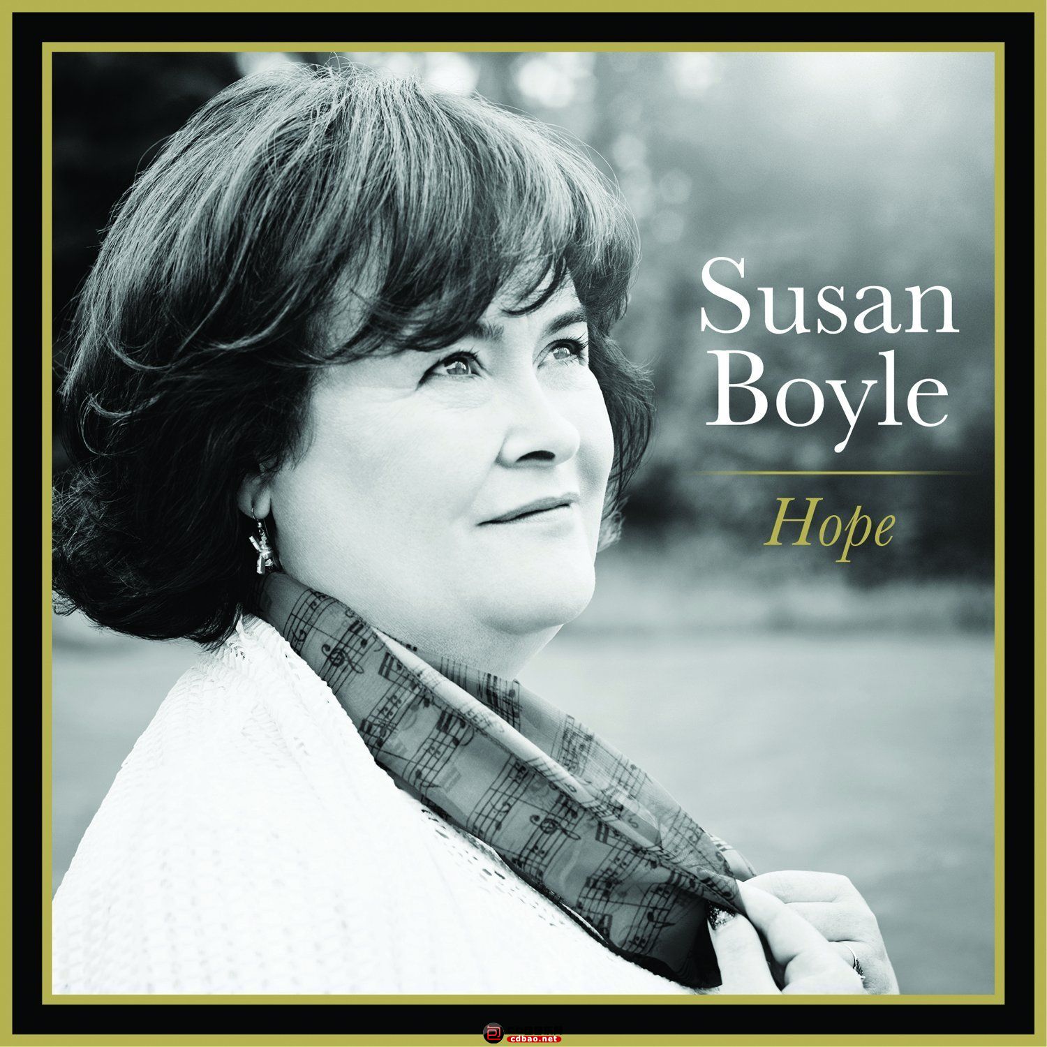 Susan Boyle - Hope (2014).jpg