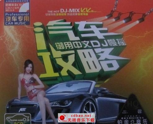 汽车攻略御用中文DJ慢摇-3CD-dts-wav-多声道无损CD下载
