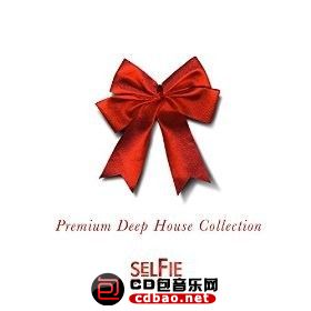 VA - Premium Deep House Collection (2015) MP3 [320 kbps].jpg