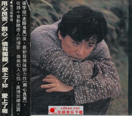 张宇-1993.11-用心良苦 ape无损专辑