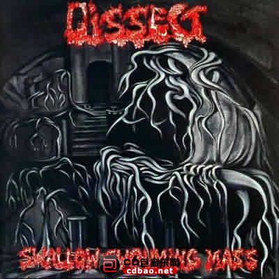 Dissect - Swallow Swouming Mass - 1993, APE (image .cue), lossless.jpg