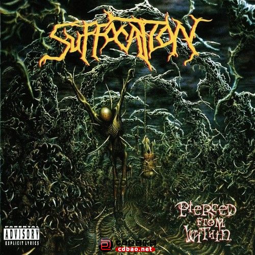 Suffocation - Pierced From Within - 1995, FLAC (image   .cue), lossless.jpg
